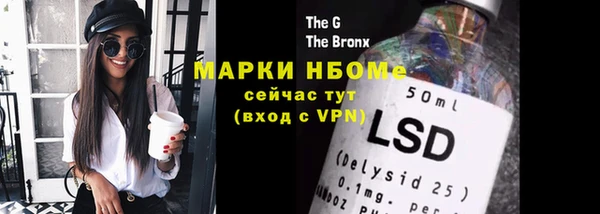 apvp Новозыбков