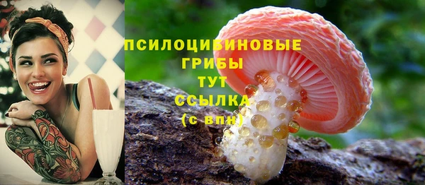 твердый Няндома