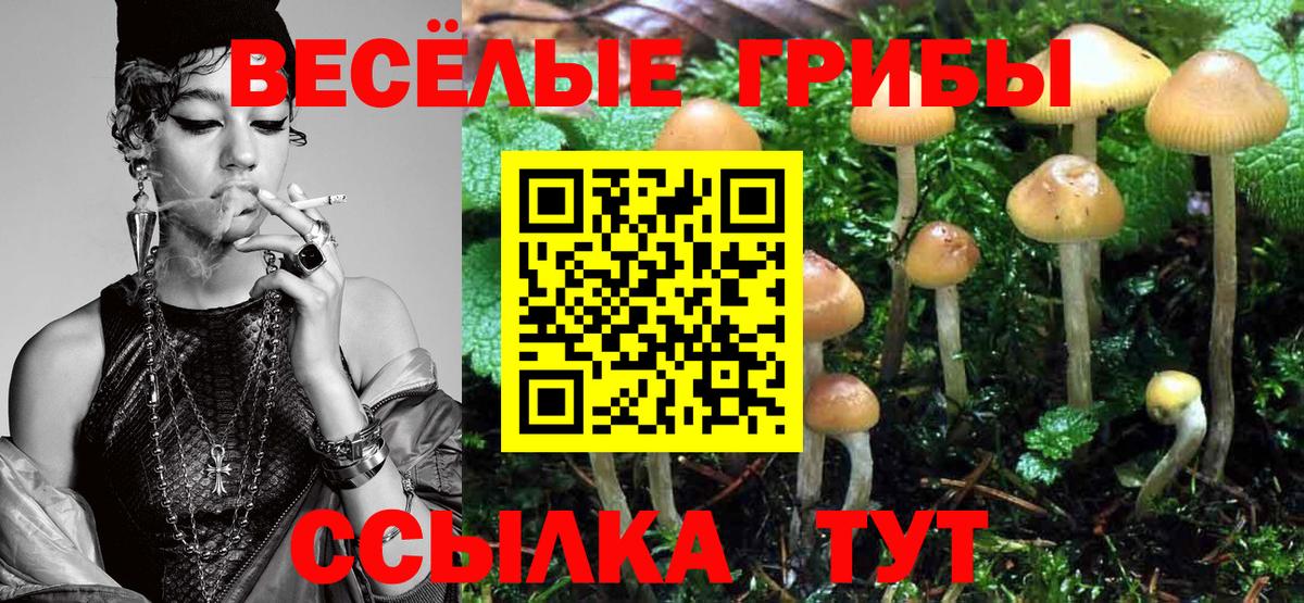 Псилоцибиновые грибы ЛСД Солнечногорск