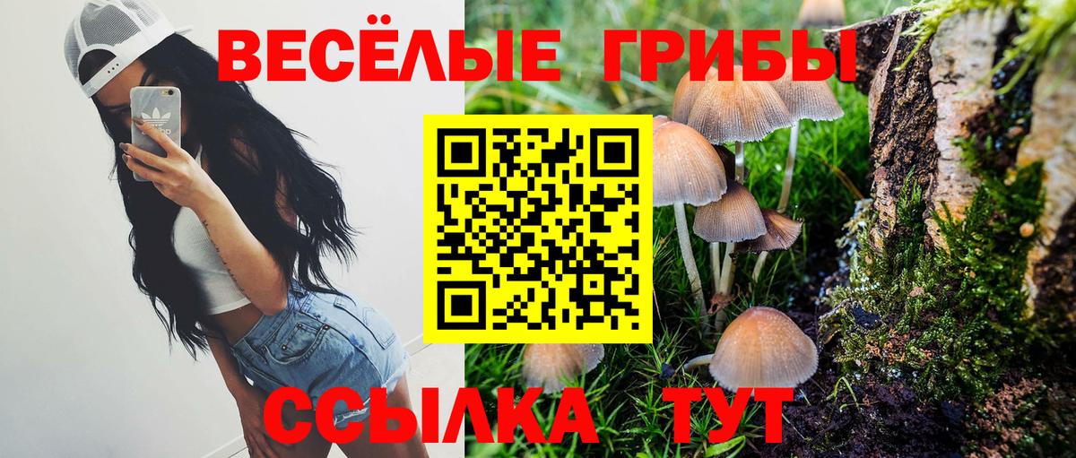 Галлюциногенные грибы Psilocybine cubensis  Вход с VPN  Солнечногорск 